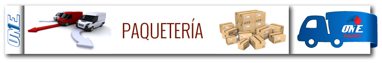 Servicio de Paquetería